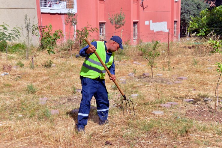 11 Cumhuriyet altınını torunları yanlışlıkla sokağa attı
