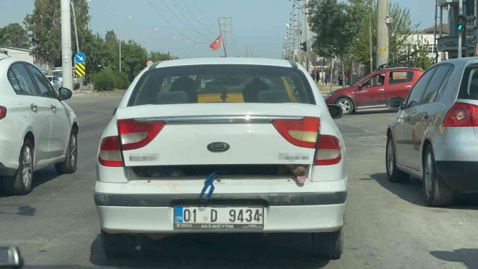 40 derece sıcakta köpeği bagajda taşıdı