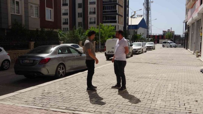 5 köpek kediyi parçalayarak öldürdü