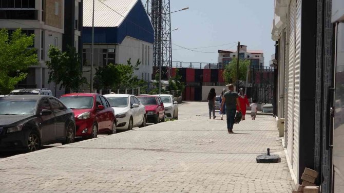 5 köpek kediyi parçalayarak öldürdü