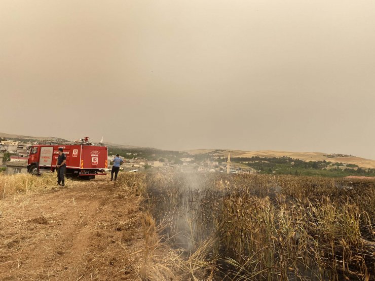 Arpa ekili tarlada yangın