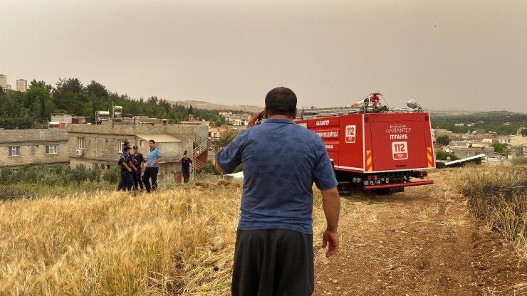 Arpa ekili tarlada yangın