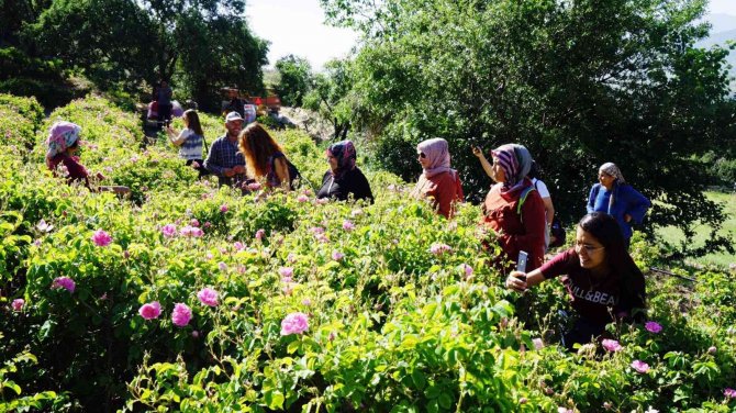 Kadın üreticilere teknik gezi