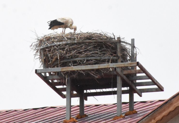 Leylekli okulda 'Leylek Pilavı' etkinliği