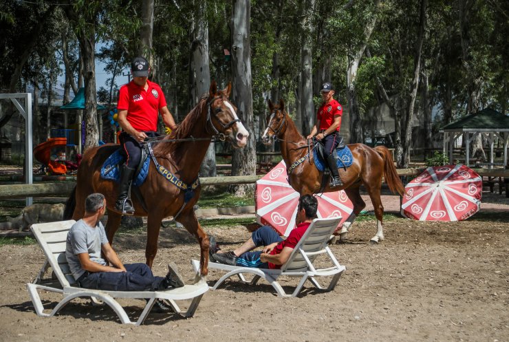 Polis atlarına teneke ve davullu eğitim