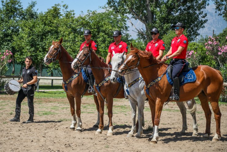 Polis atlarına teneke ve davullu eğitim