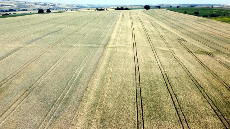 Prof. Dr. Orta: Türkiye, meteorolojik ve zirai kuraklık yaşıyor