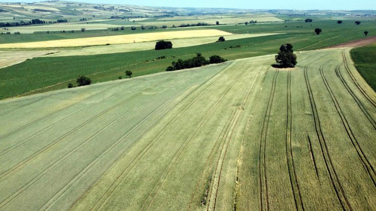 Prof. Dr. Orta: Türkiye, meteorolojik ve zirai kuraklık yaşıyor