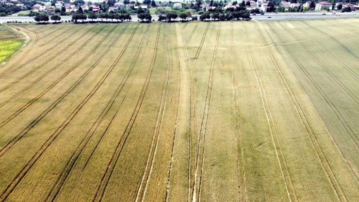 Prof. Dr. Orta: Türkiye, meteorolojik ve zirai kuraklık yaşıyor