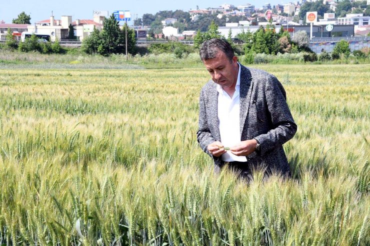 Prof. Dr. Orta: Türkiye, meteorolojik ve zirai kuraklık yaşıyor