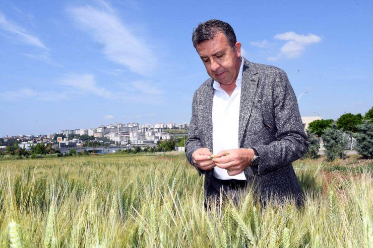 Prof. Dr. Orta: Türkiye, meteorolojik ve zirai kuraklık yaşıyor