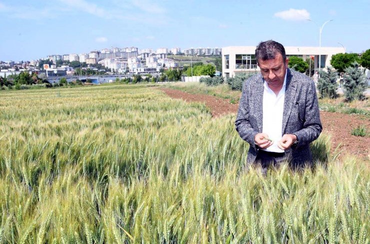 Prof. Dr. Orta: Türkiye, meteorolojik ve zirai kuraklık yaşıyor