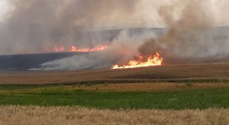 Tarlada çalışırken üzerine yıldırım düşen Abdulsamed öldü
