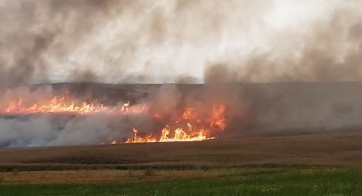 Tarlada çalışırken üzerine yıldırım düşen Abdulsamed öldü