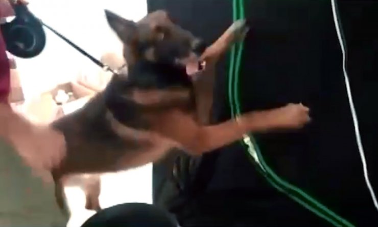 Evde sera kurup uyuşturucu ürettiler