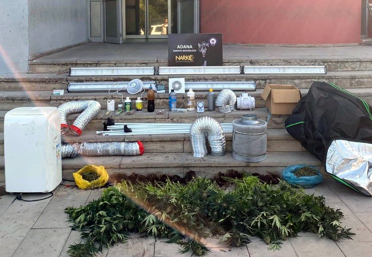 Evde sera kurup uyuşturucu ürettiler