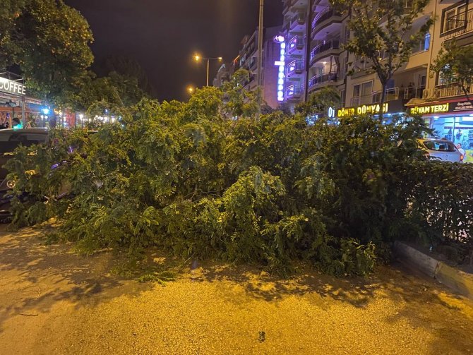 Güneş enerjisi paneli eve ok gibi saplandı