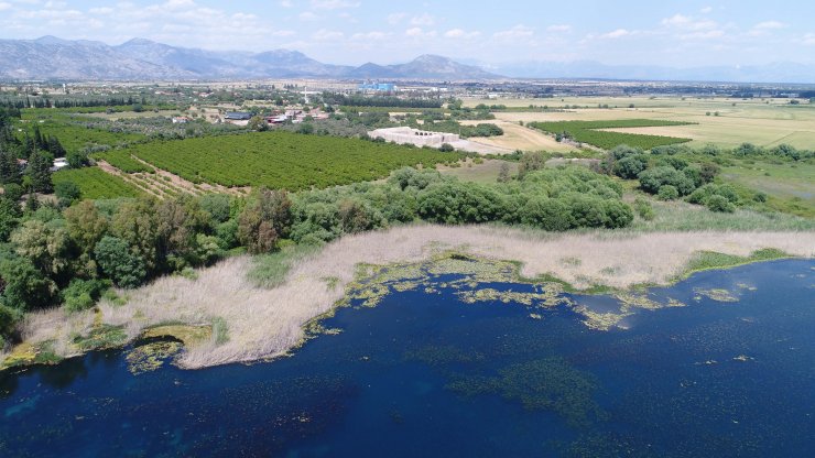 İçme suyu kaynağı, çöplüğe döndü