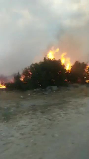 Yıldırım düştü 10 dönüm alan zarar gördü