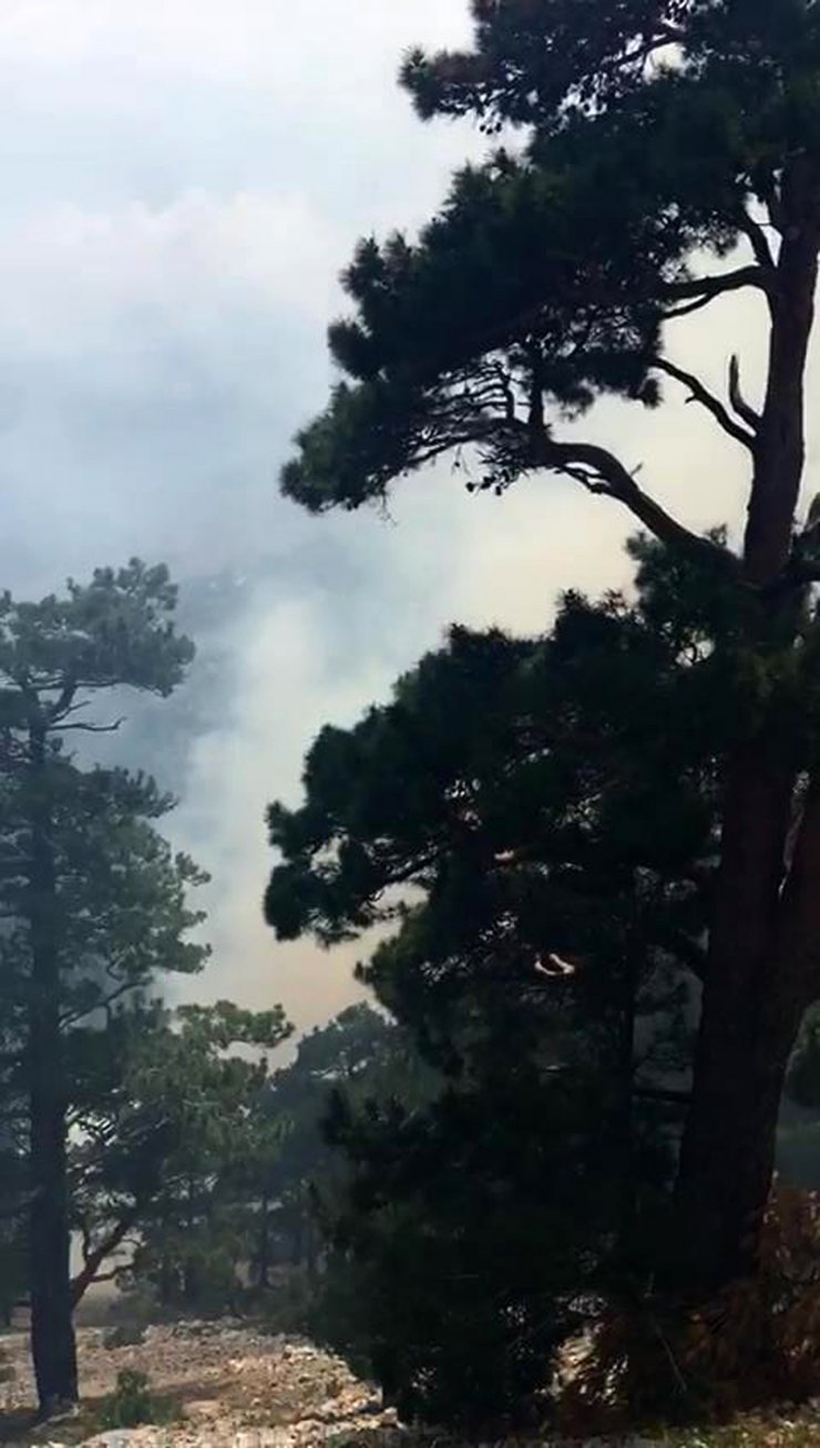 Antalya'da orman yangını