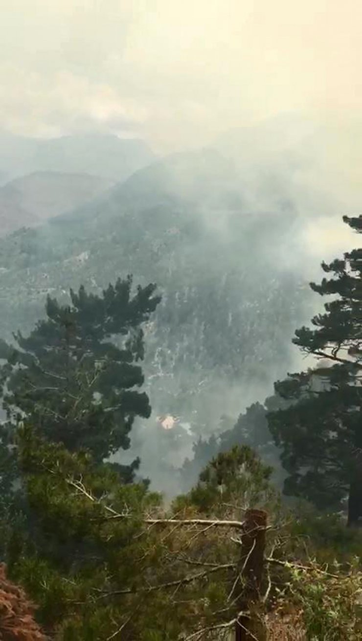 Antalya'da orman yangını