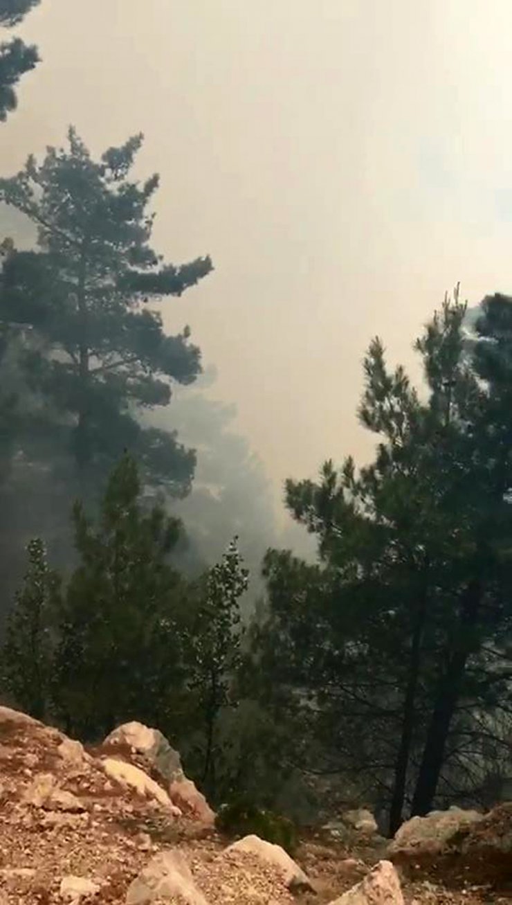 Antalya'da orman yangını