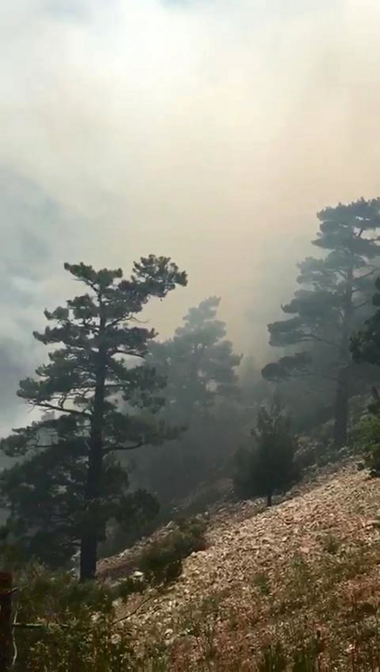 Antalya'da orman yangını