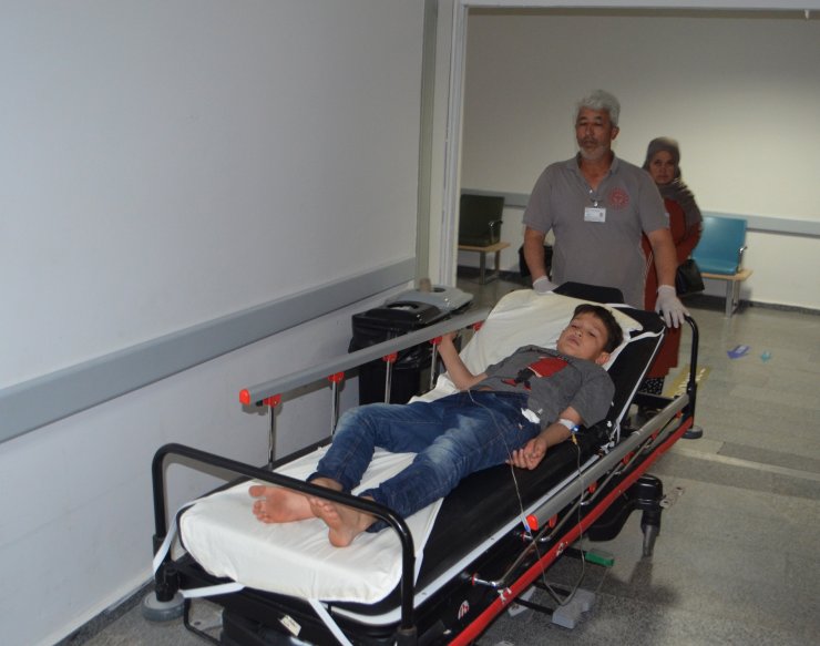 Dut toplarken düşen çocuğun kalçasına korkuluk demiri saplandı