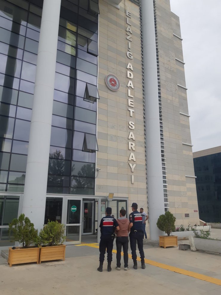 Elazığ'da kaçak kazı yapan 4 kişiye gözaltı