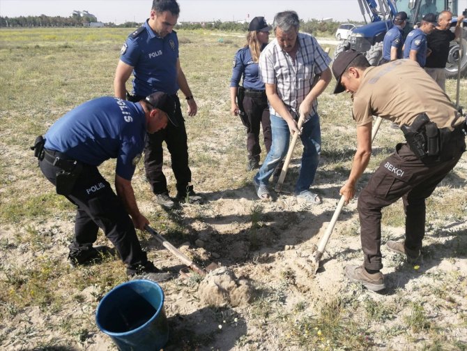Karapınar'da polis 150 çam fidanını toprakla buluşturdu