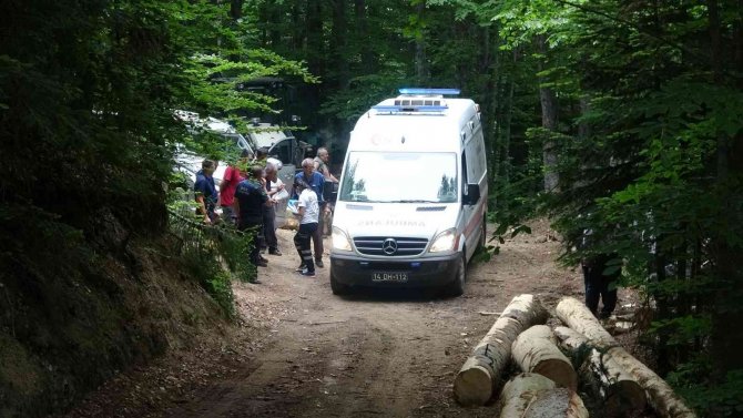 Kestiği ağacın parçası kafasına çarpan işçi hastaneye kaldırıldı