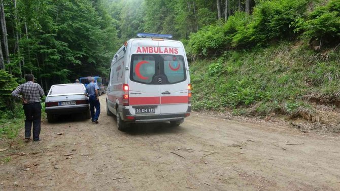 Kestiği ağacın parçası kafasına çarpan işçi hastaneye kaldırıldı