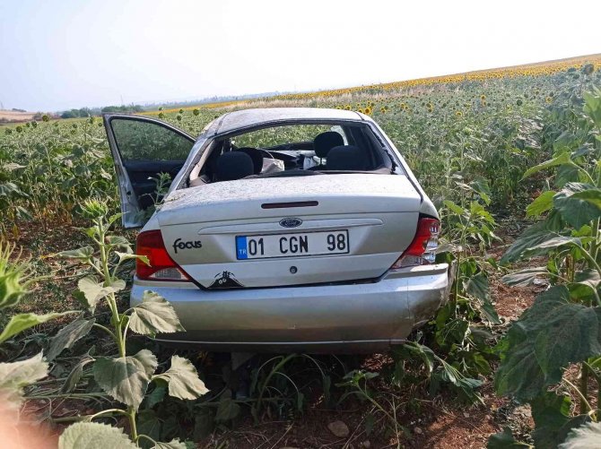 Otomobil ayçiçek tarlasına uçtu: 1 yaralı