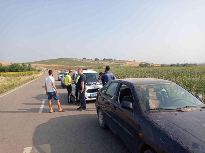 Otomobil ayçiçek tarlasına uçtu: 1 yaralı