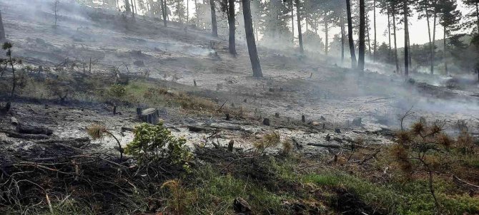 Yıldırım düşmesi sonucu çıkan orman yangını büyümeden söndürüldü