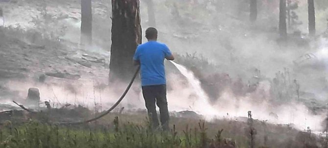 Yıldırım düşmesi sonucu çıkan orman yangını büyümeden söndürüldü
