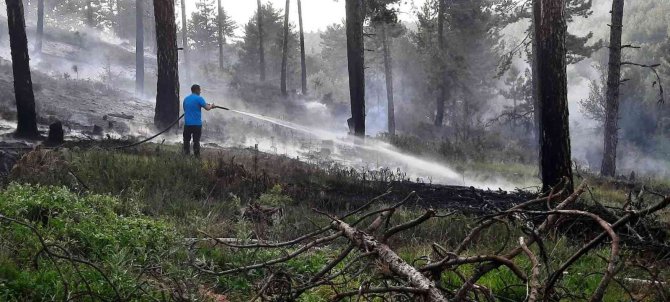 Yıldırım düşmesi sonucu çıkan orman yangını büyümeden söndürüldü