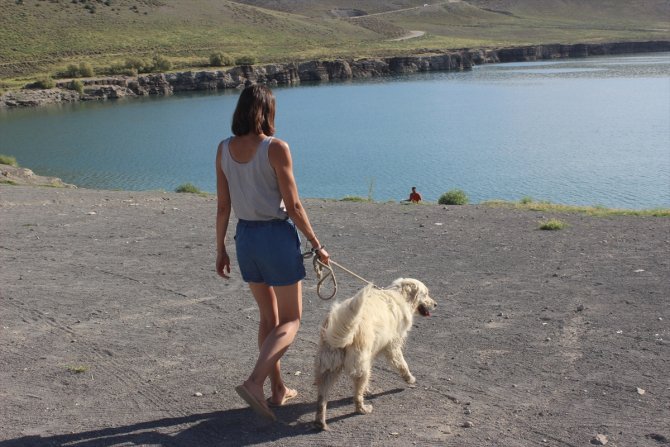 Avrupa turuna çıkan iki Fransız aile Acıgöl'de mola verdi