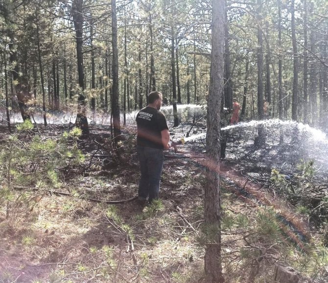 Orman yangını, 3,5 dekar alan zarar gördü