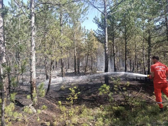 Orman yangını, 3,5 dekar alan zarar gördü