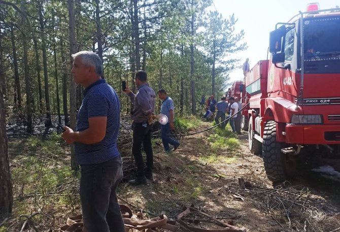 Orman yangını, 3,5 dekar alan zarar gördü