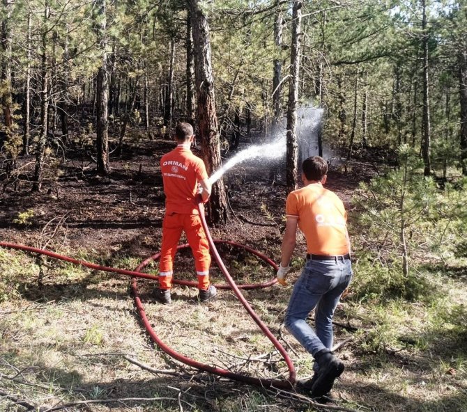 Orman yangını, 3,5 dekar alan zarar gördü
