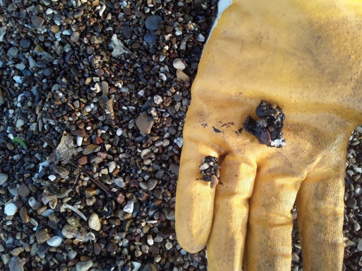 Antalya sahillerinde 'kirlilik' alarmı