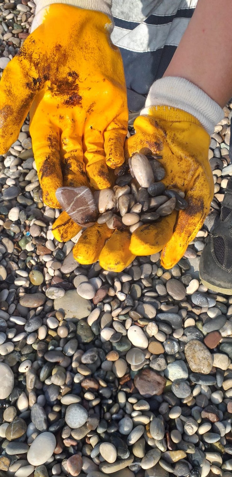 Antalya sahillerinde 'kirlilik' alarmı