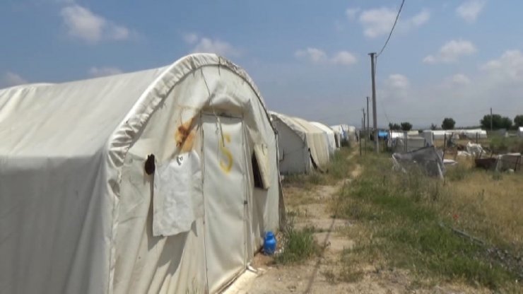 Çadırda yaşayan mevsimlik işçilerin çocukları okumak istiyor