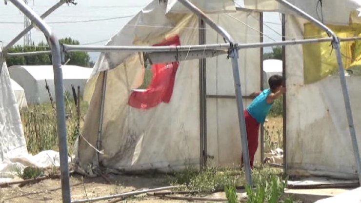 Çadırda yaşayan mevsimlik işçilerin çocukları okumak istiyor