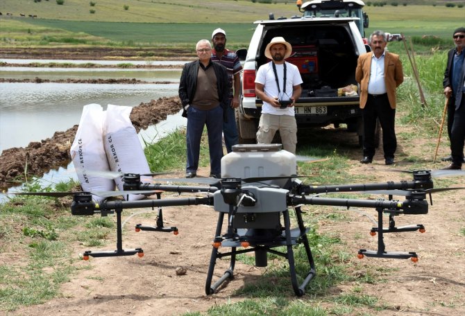 Dron ile çeltik ekim mesaisi başladı