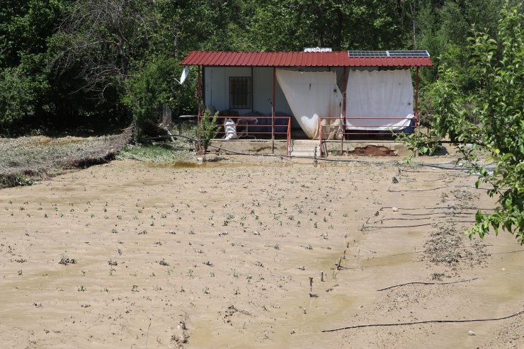 Dereler taştı; tarım arazileri ve evler su altında kaldı