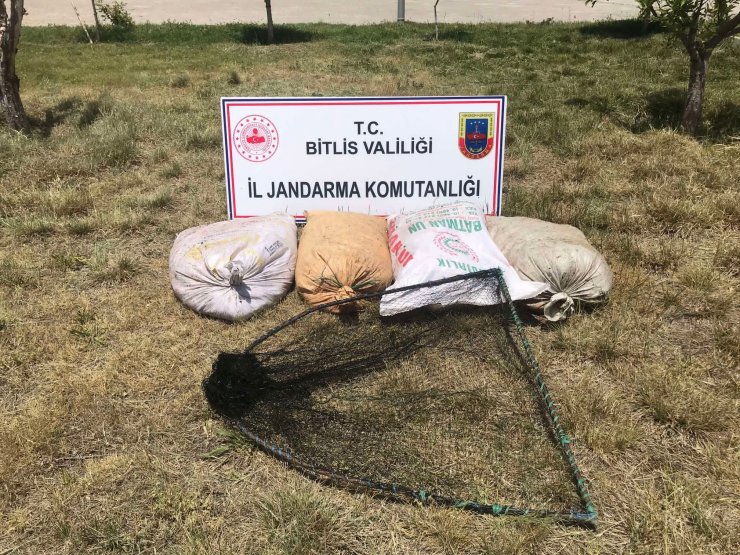 Kaçak avlanan 2 ton 350 kilo inci kefali ele geçirildi