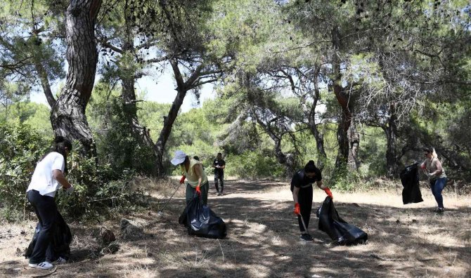 Ormandan torbalarca çöp çıktı